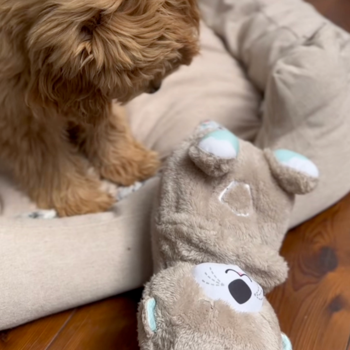 Heartbeat plush otter toy for puppies, photo 4