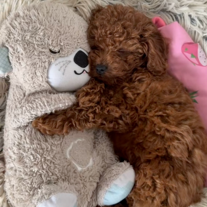 Heartbeat plush otter toy for puppies