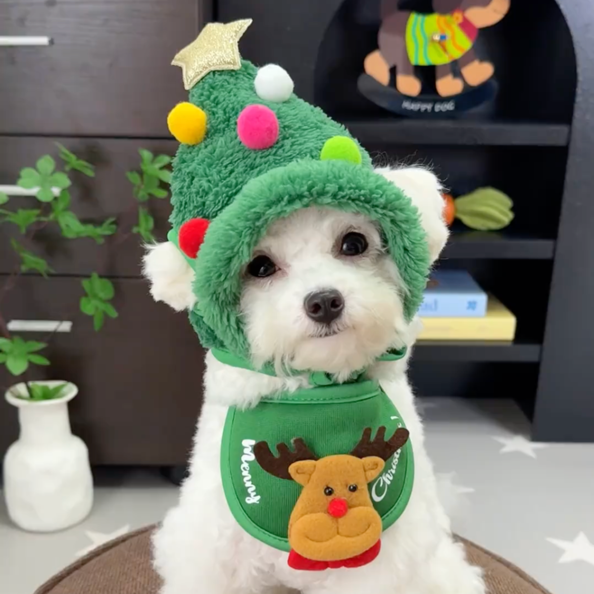 Christmas tree dog hat with reindeer bib