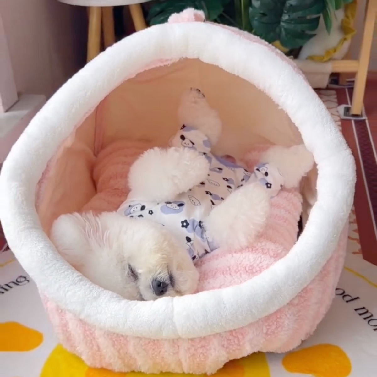 Tunnel dog bed with plush cushion