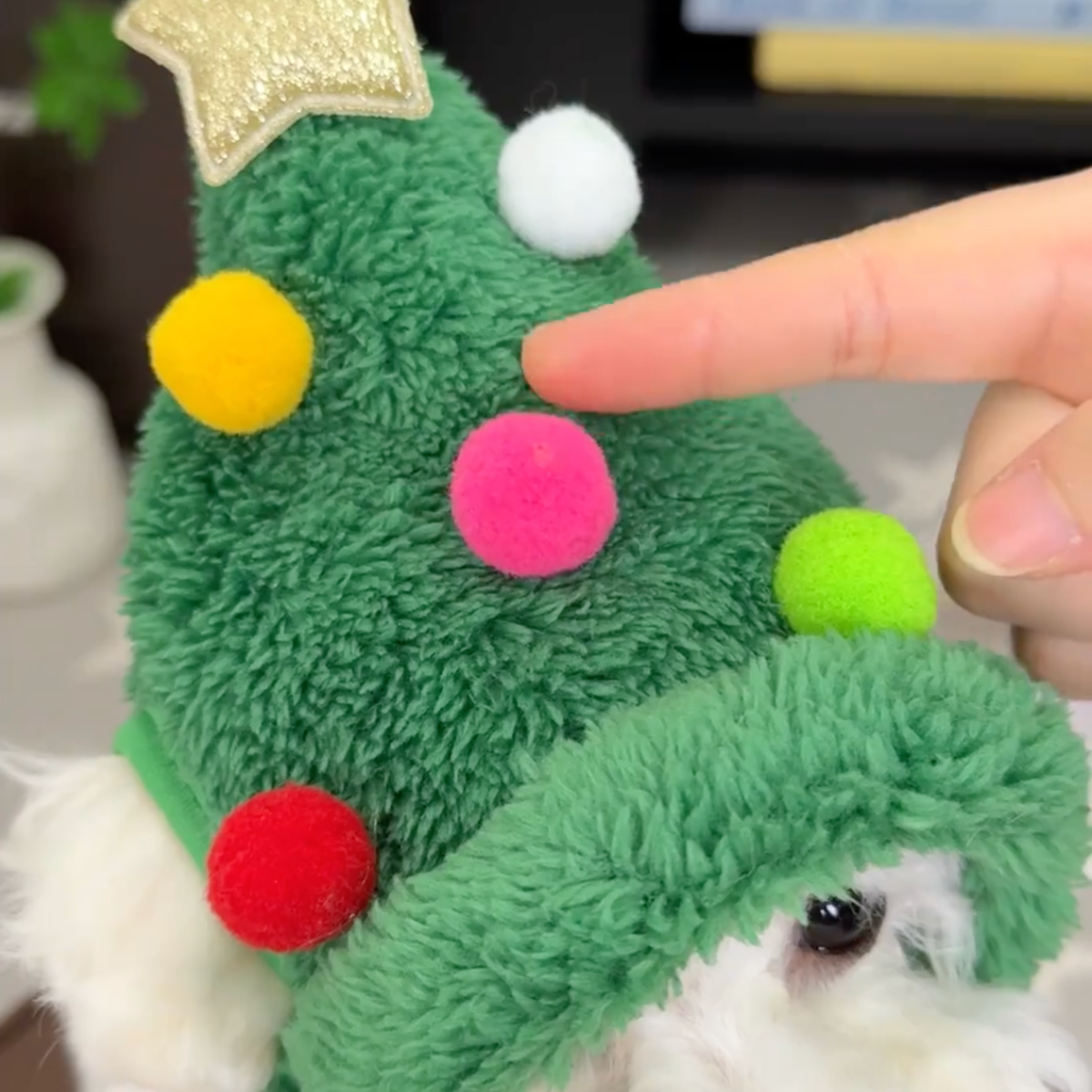 Christmas tree dog hat with reindeer bib, photo 3