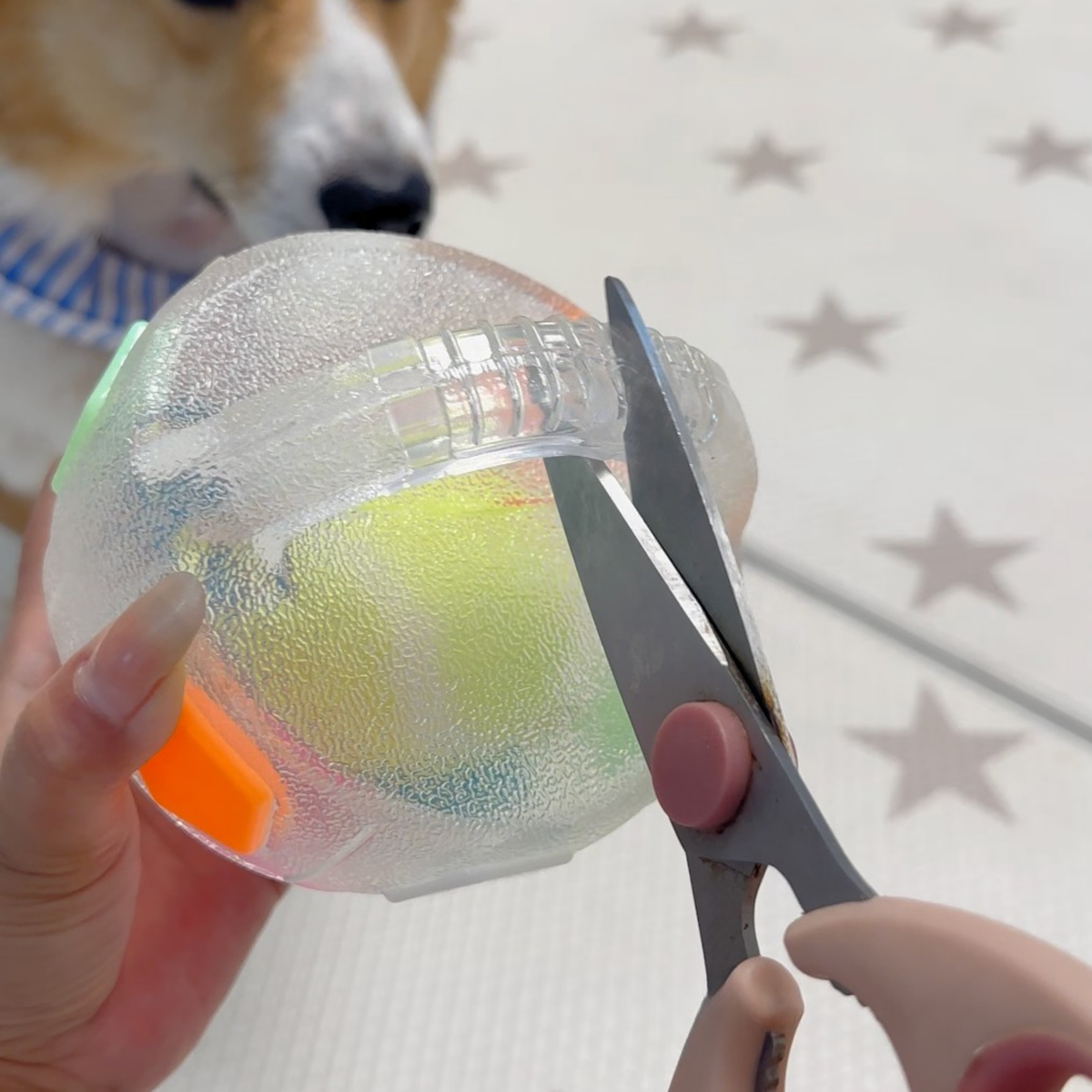 Squeaky soccer ball dog toy with tennis ball inside, photo 7