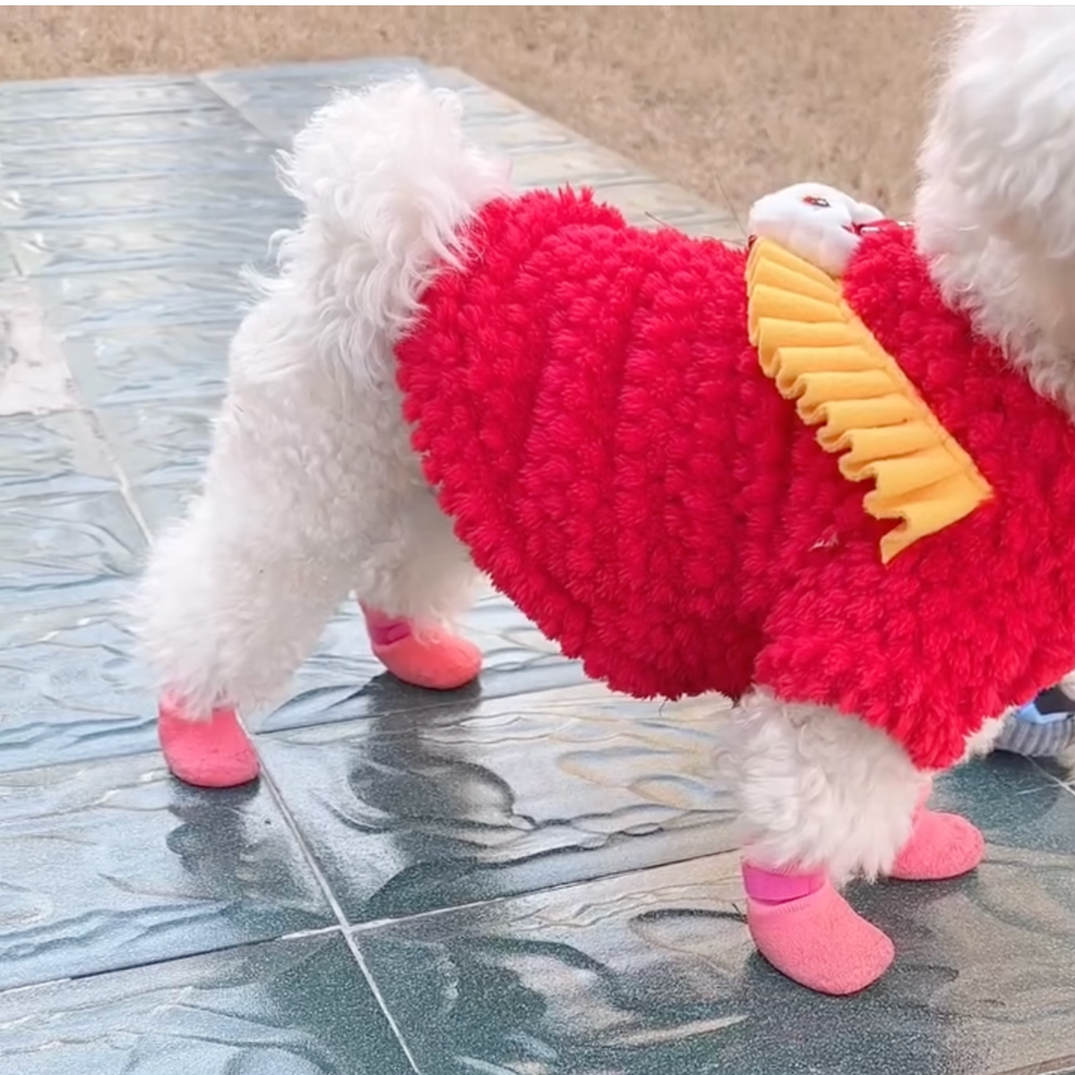 Non-slip rubber dog boots, photo 5