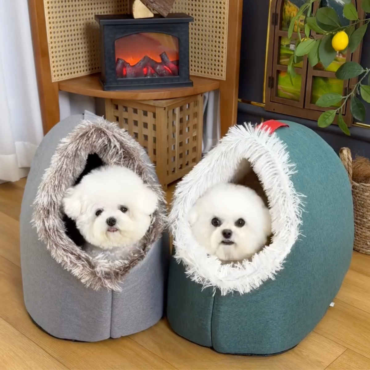 Covered dog cave bed with faux fur trim