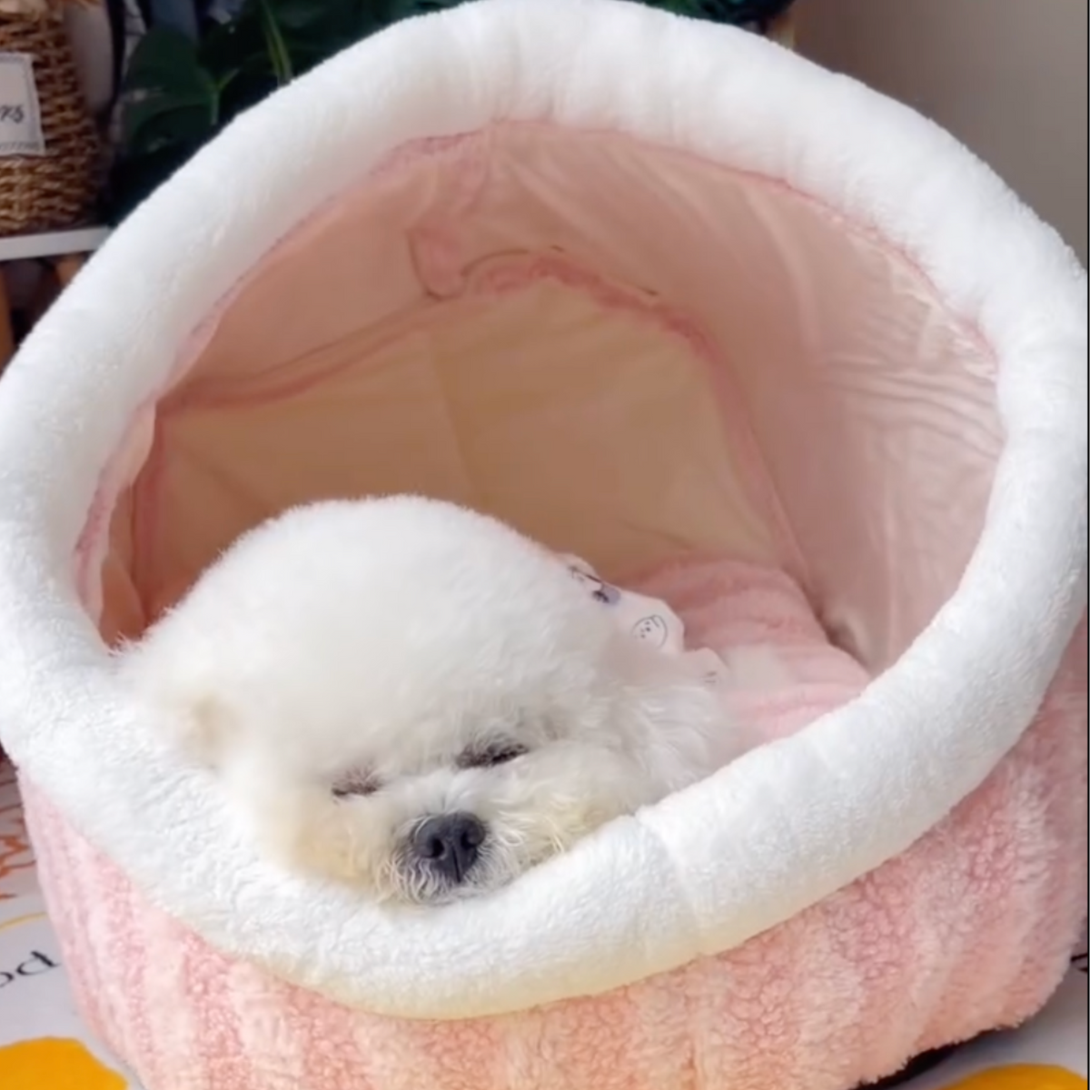 Tunnel dog bed with plush cushion, photo 10