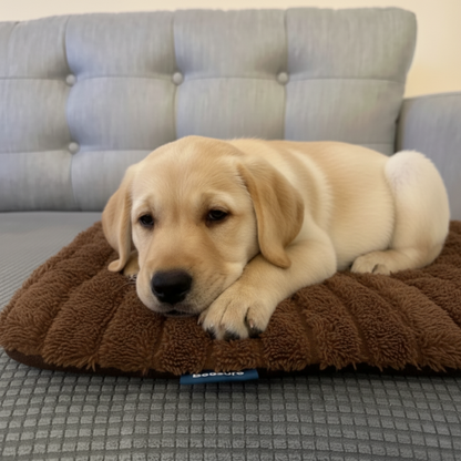 Self-warming thermal dog mat, brown
