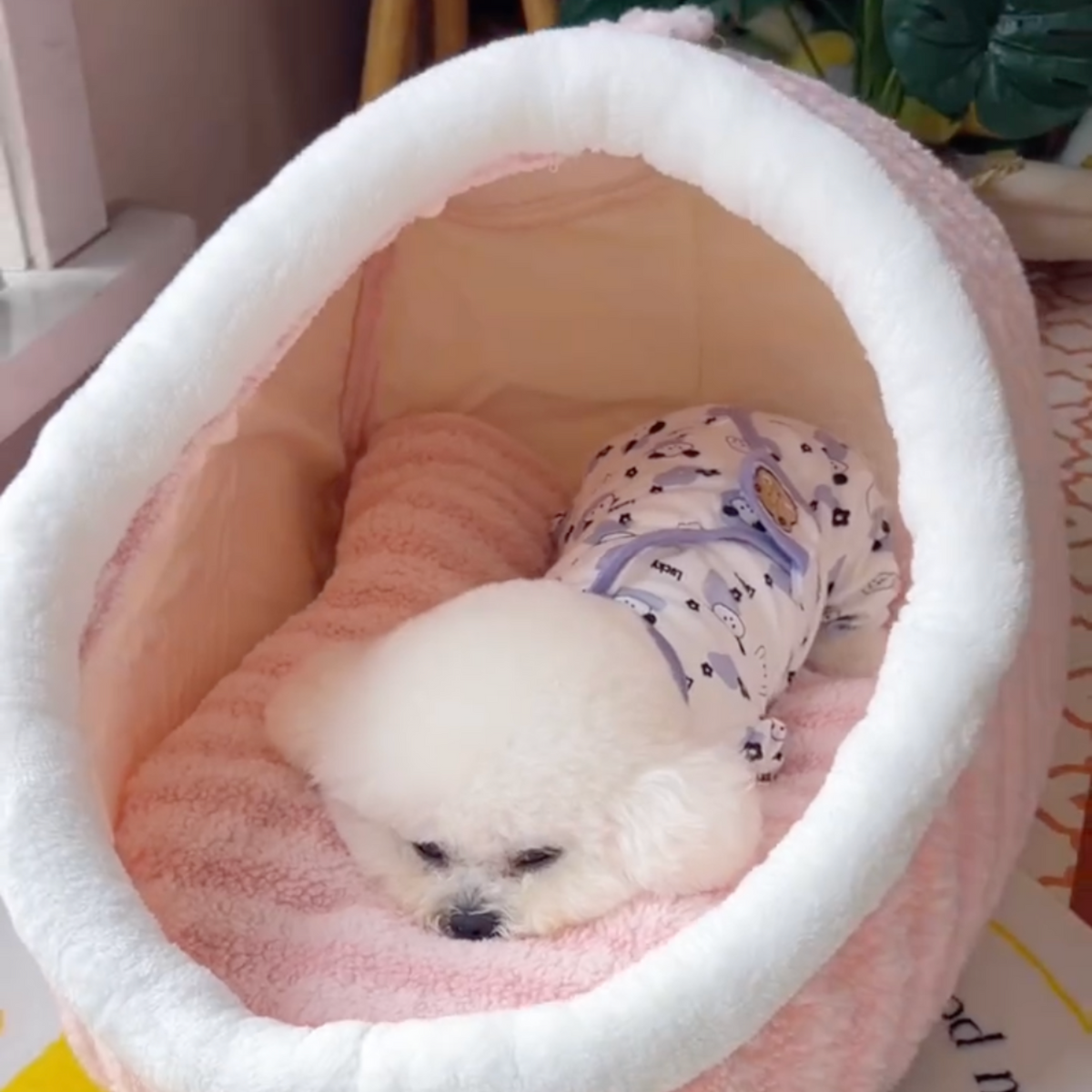Tunnel dog bed with plush cushion, photo 13