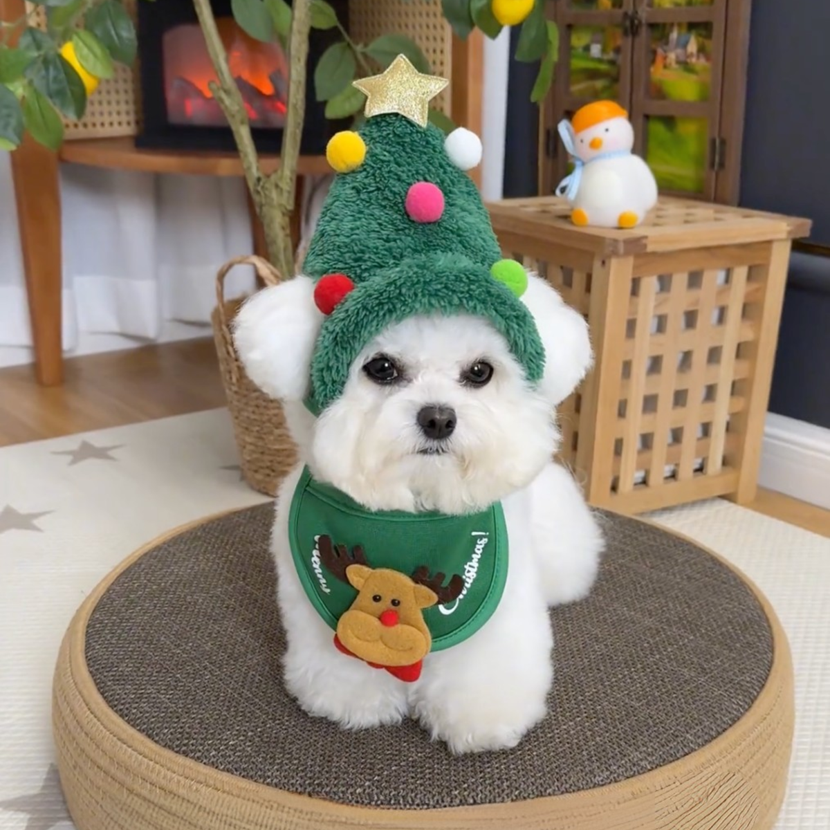 Christmas tree dog hat with reindeer bib, photo 6