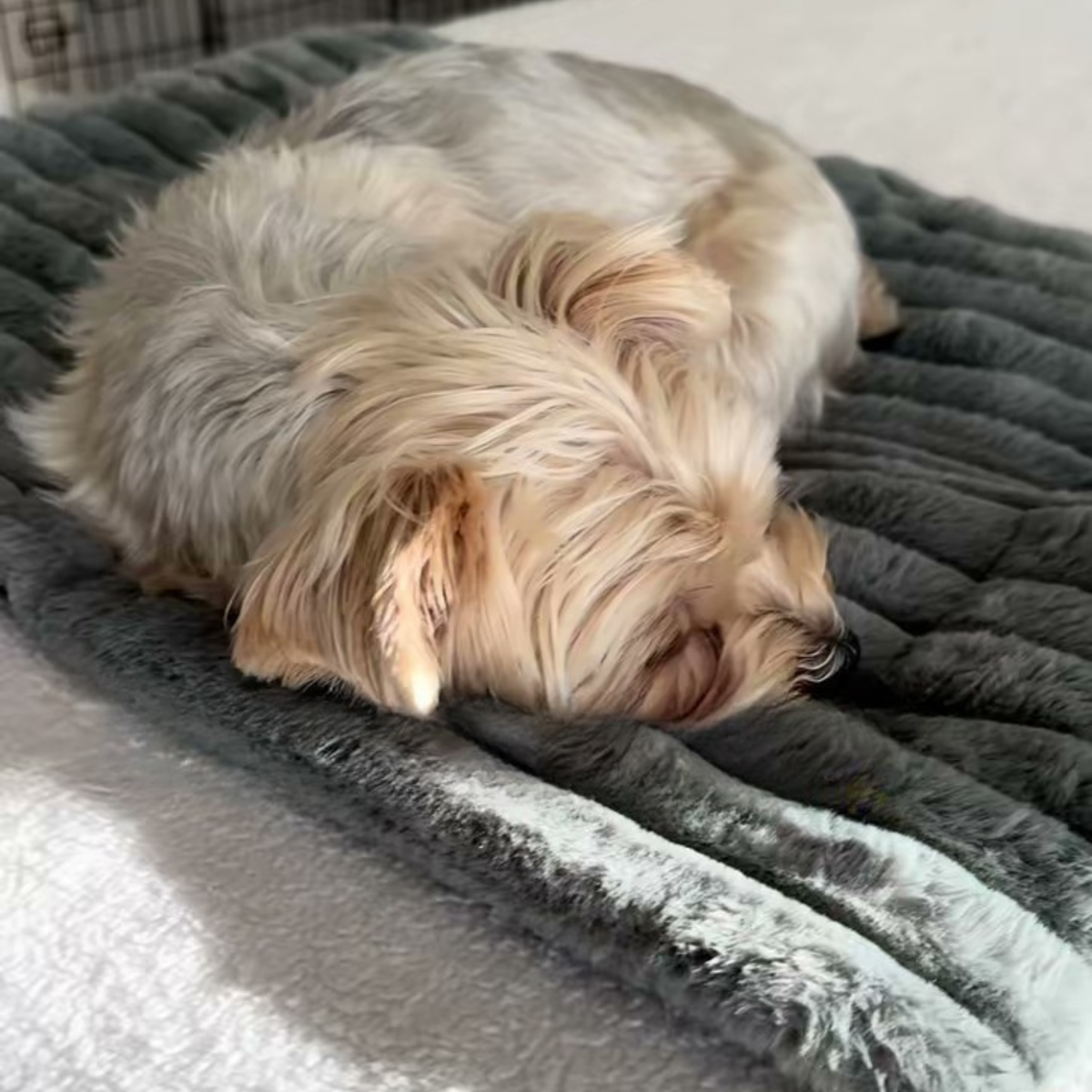 Self-warming thermal dog mat, photo 5