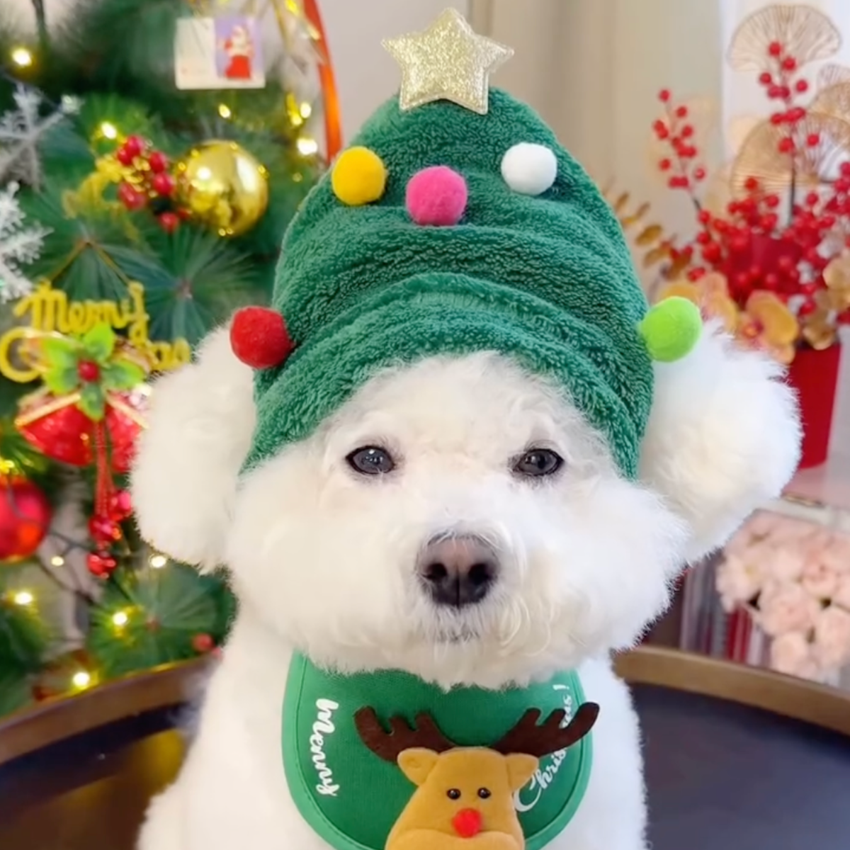 Christmas tree dog hat with reindeer bib, photo 2