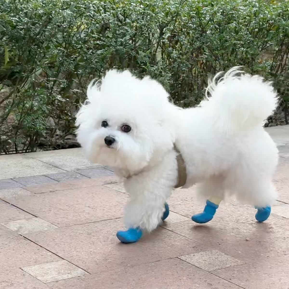 Non-slip rubber dog boots, photo 9