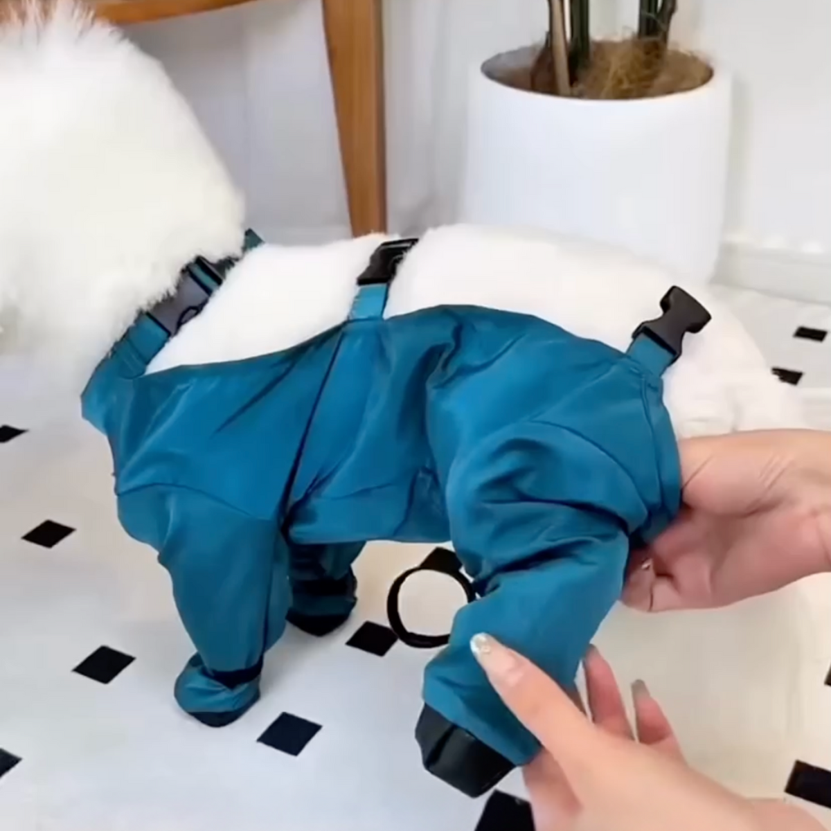 Full-body dog mud suit with attached boots, photo 3