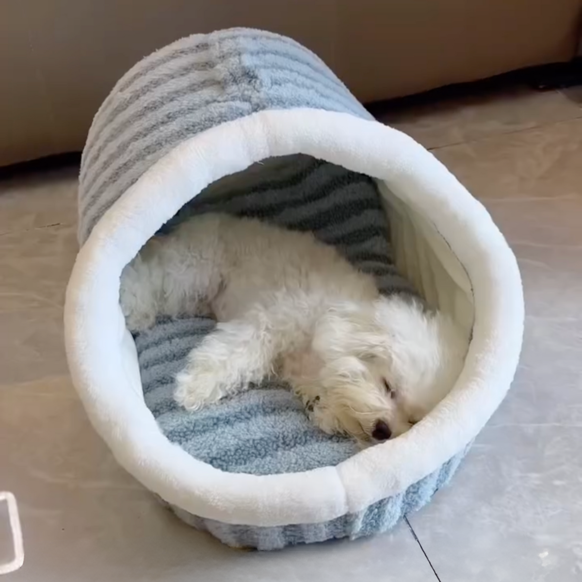 Tunnel dog bed with plush cushion, blue