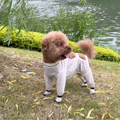 Waterproof dog jumpsuit with booties, photo 9