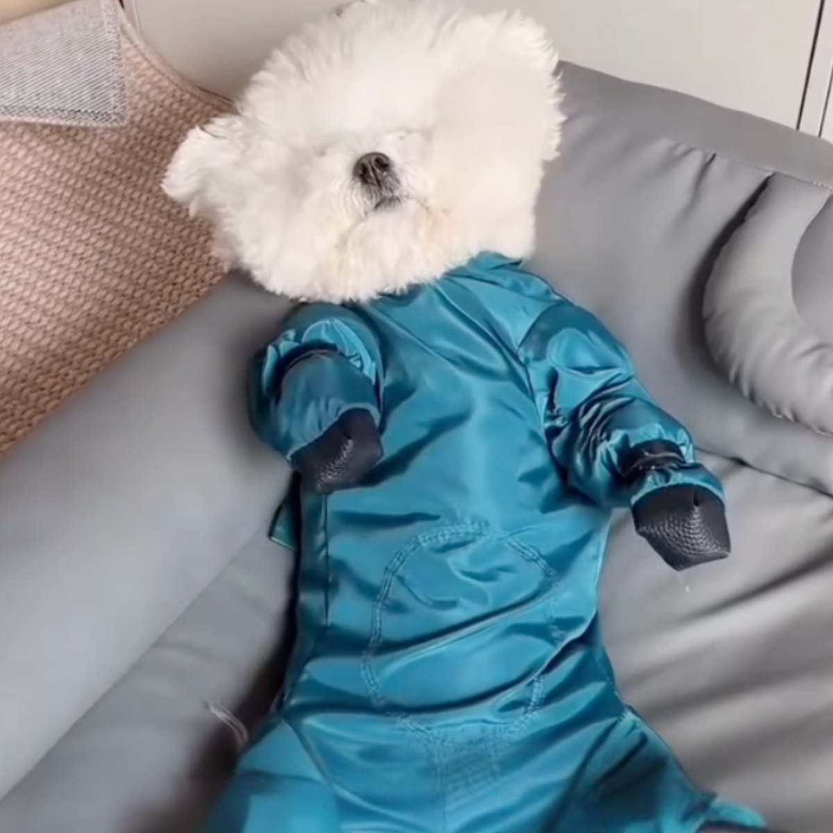 Full-body dog mud suit with attached boots, photo 5
