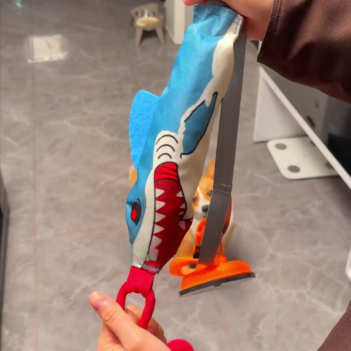 Suction cup shark tug toy for dogs, photo 5