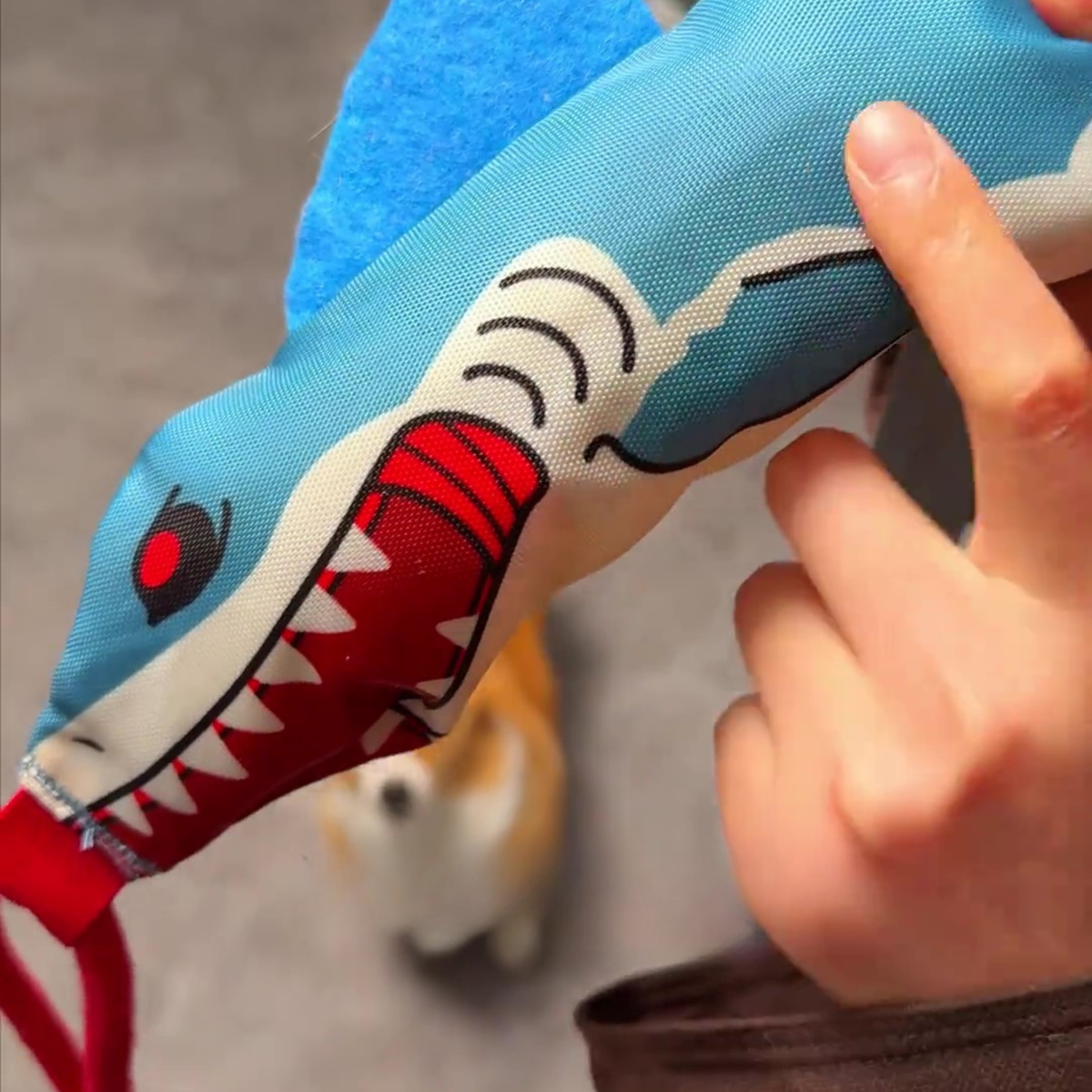 Suction cup shark tug toy for dogs, photo 6
