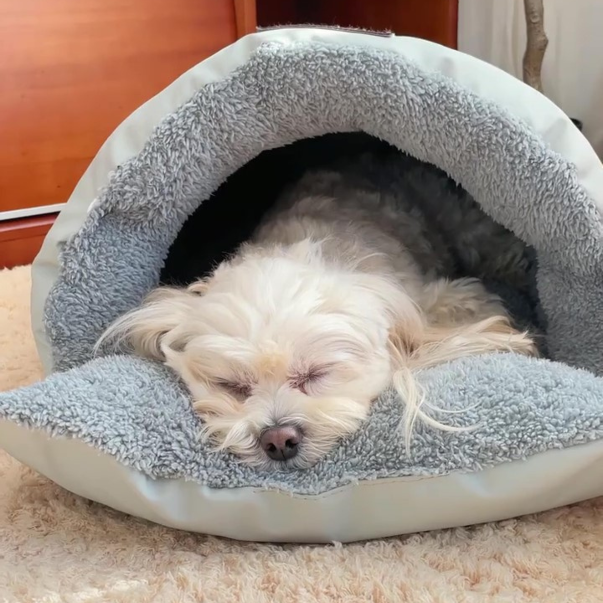 Puffer sleeping bag dog bed, photo 5