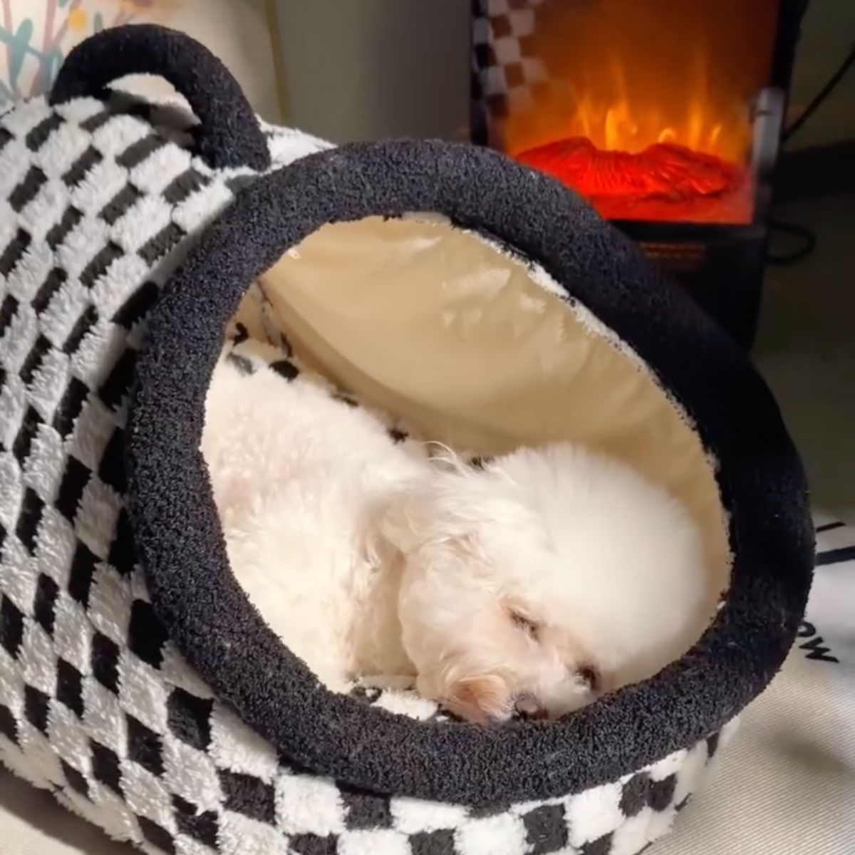 Tunnel dog bed with plush cushion, photo 8