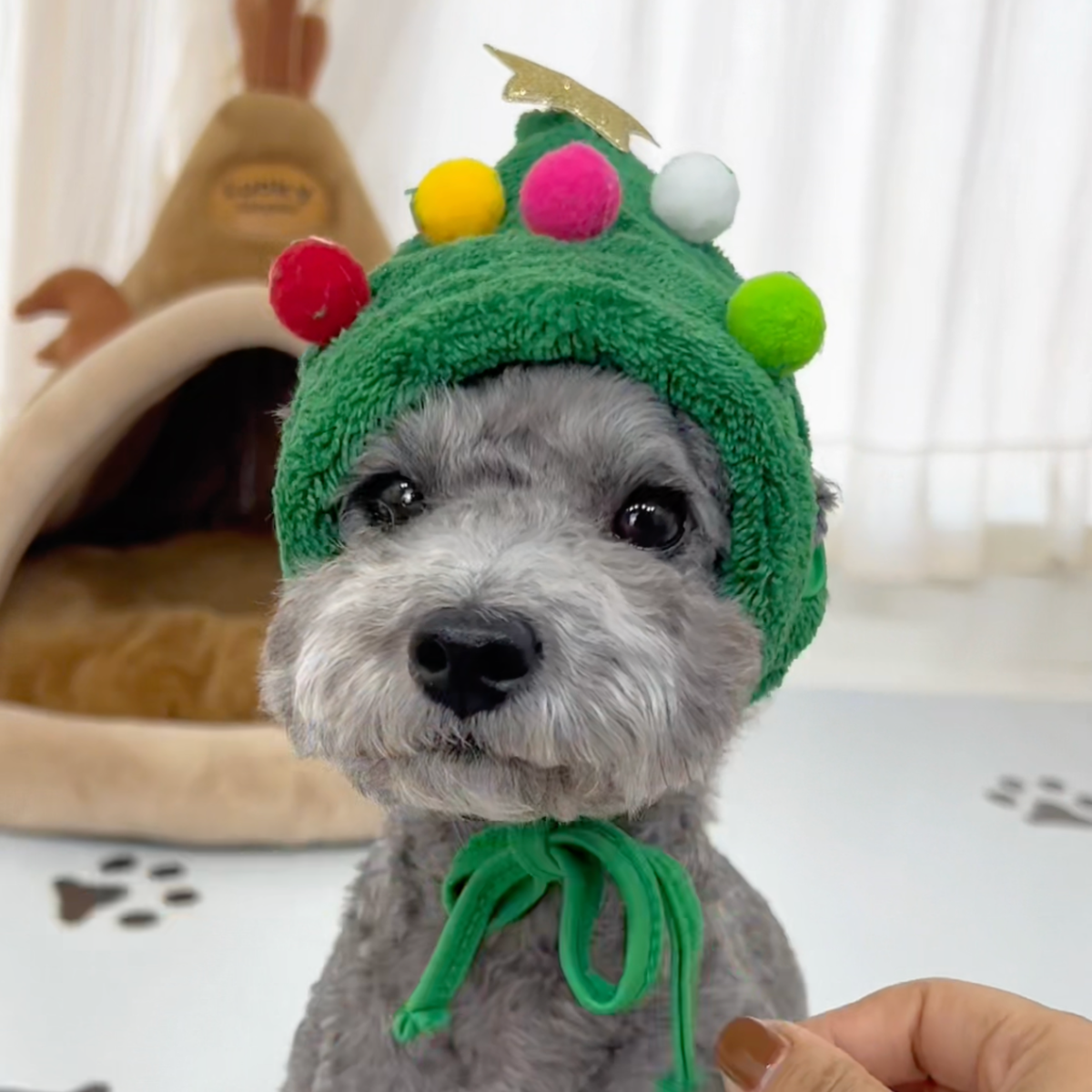 Christmas tree dog hat with reindeer bib, photo 9