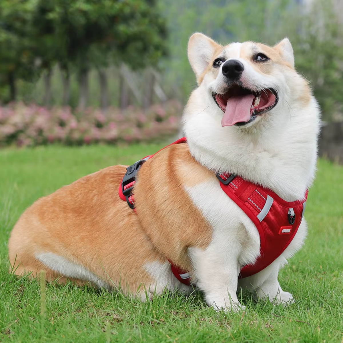 No-pull reflective dog harness with handle, photo 8