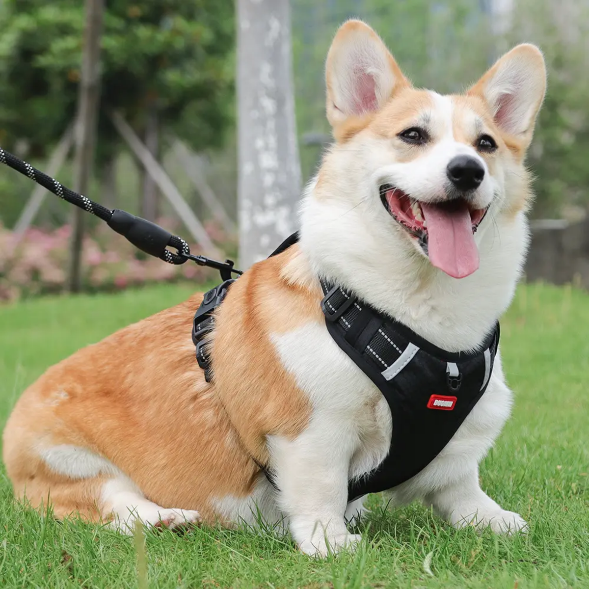 No-pull reflective dog harness with handle, photo 9