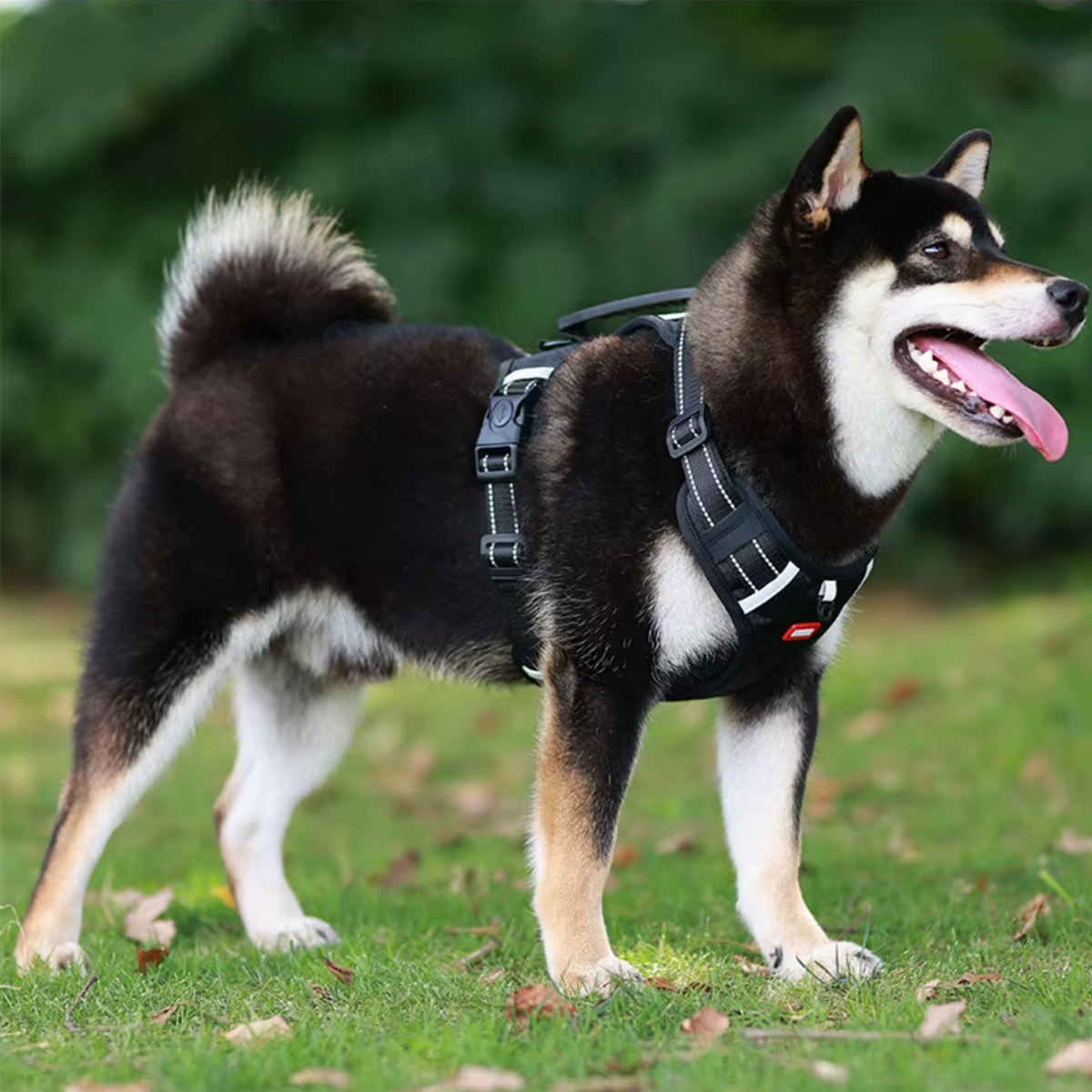 No-pull reflective dog harness with handle, black