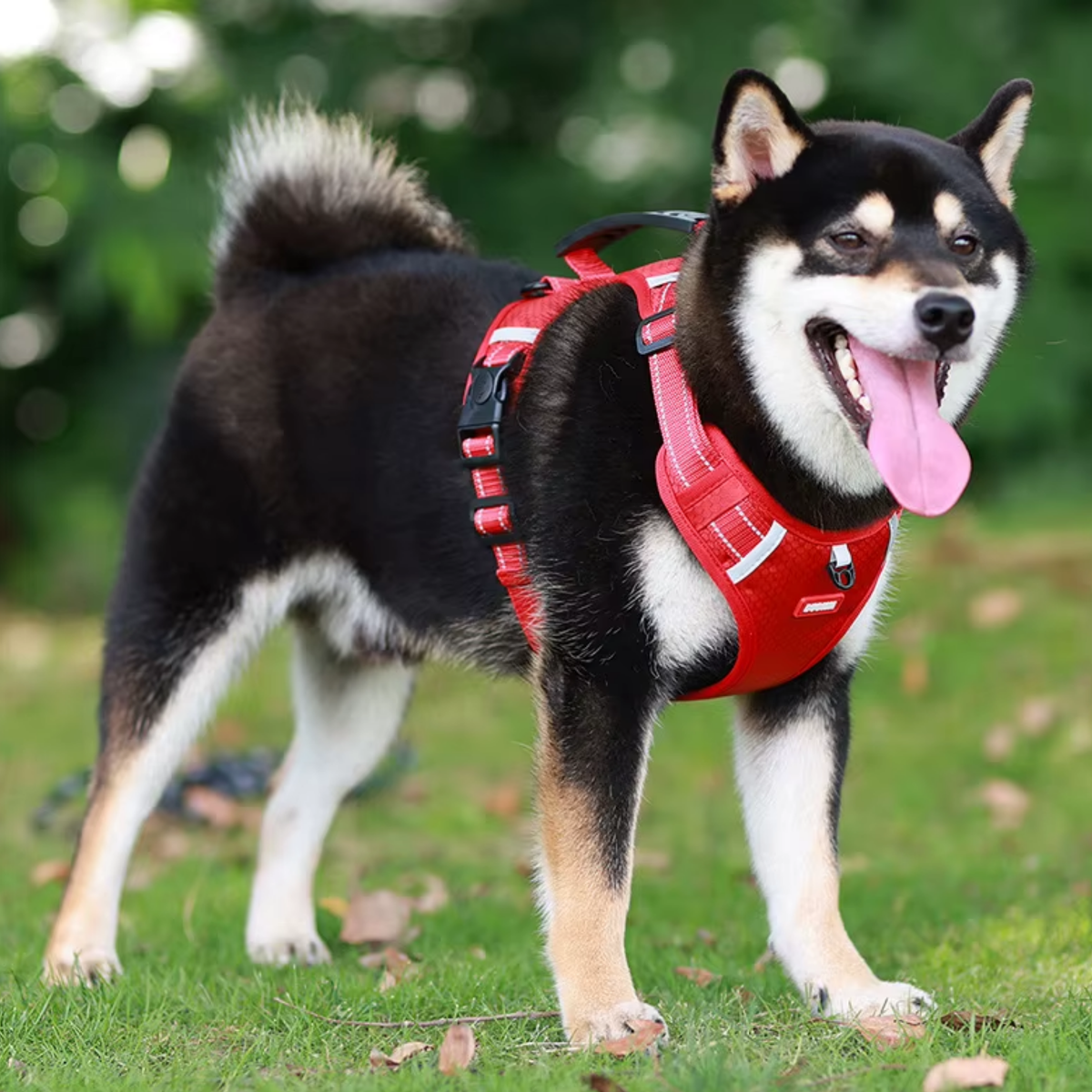 No-pull reflective dog harness with handle, red