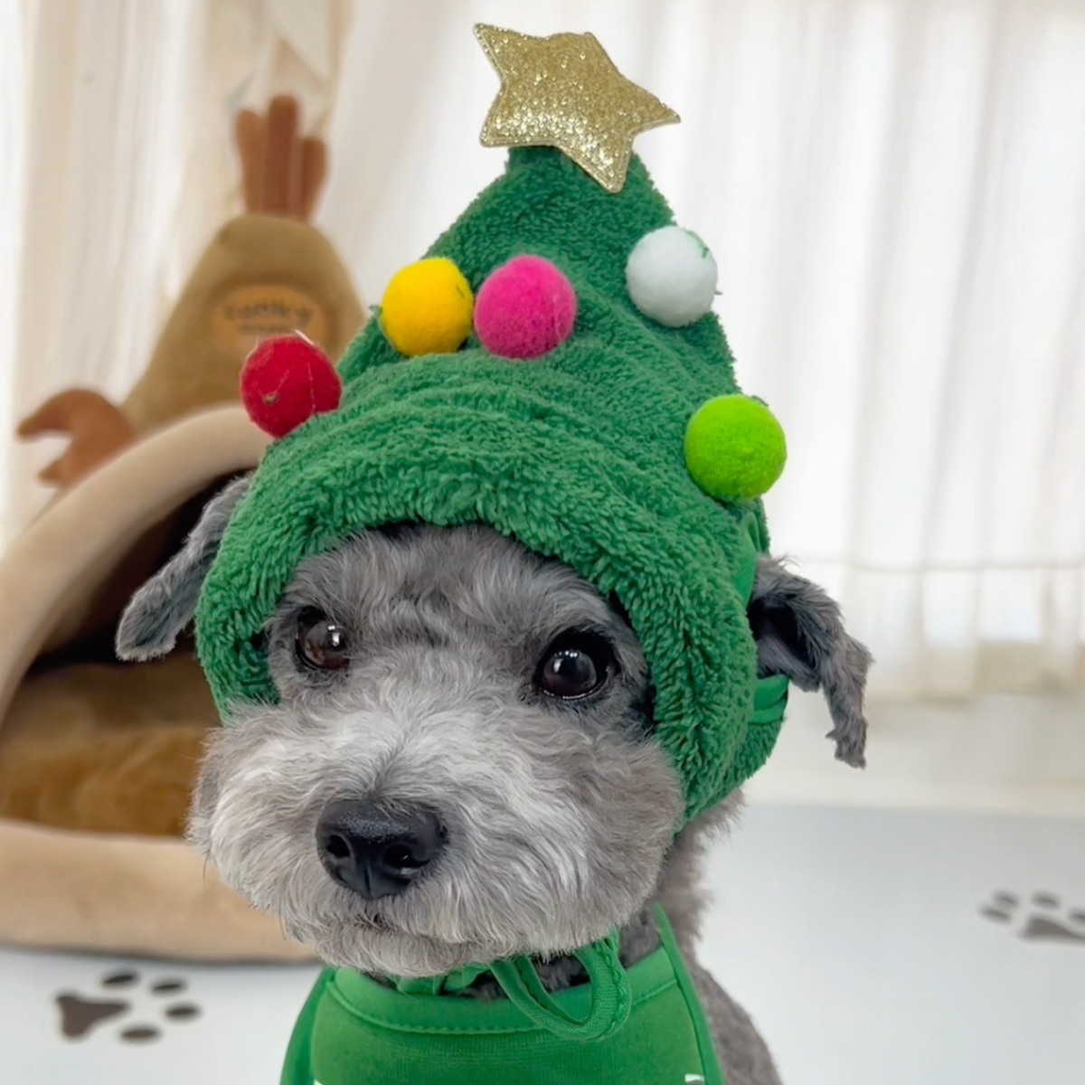Christmas tree dog hat with reindeer bib, photo 10