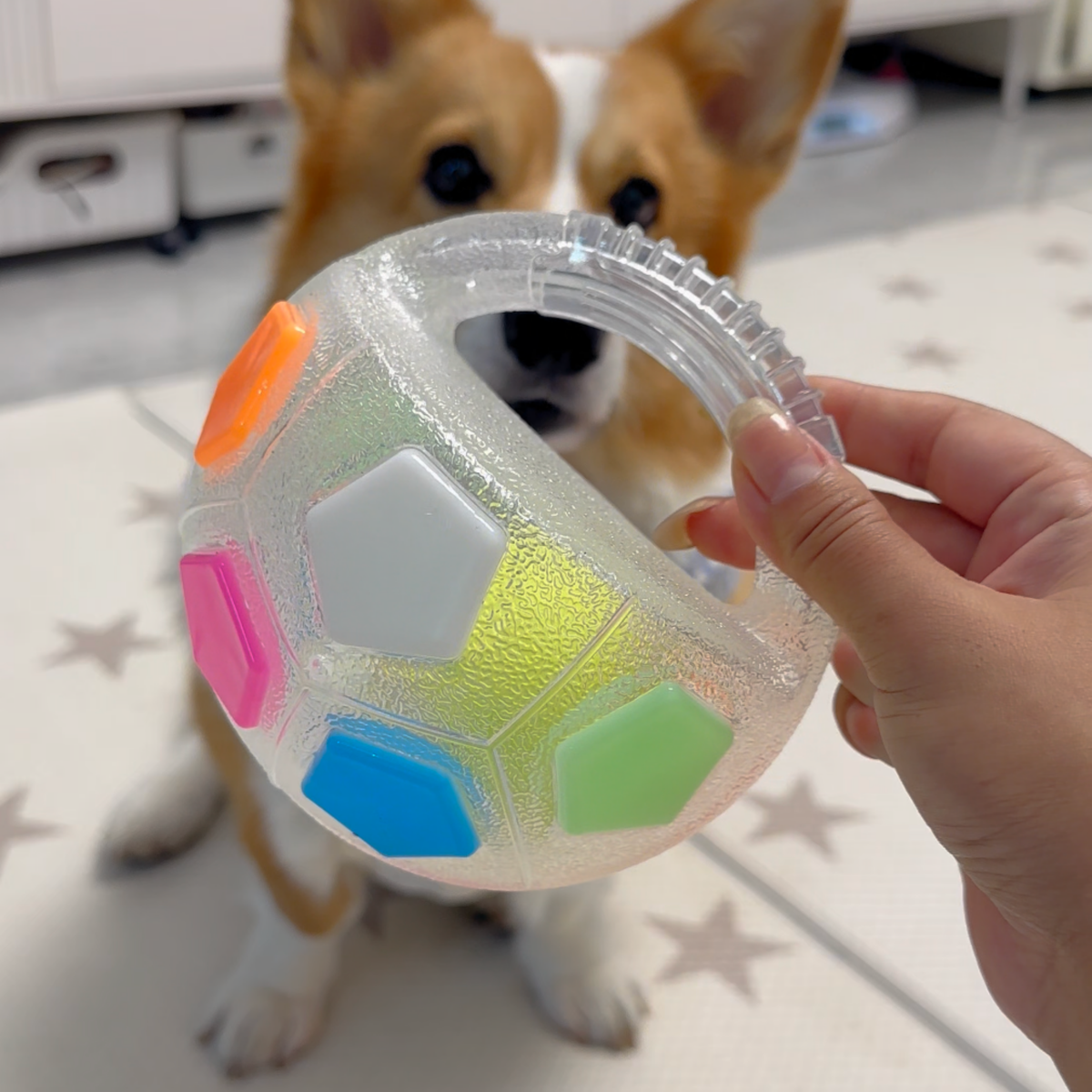 Squeaky soccer ball dog toy with tennis ball inside, photo 3