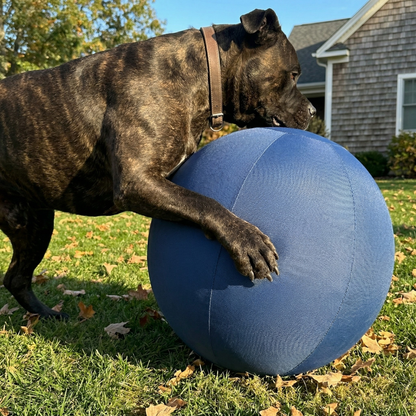 22 inch blue herding ball for dogs, photo 7
