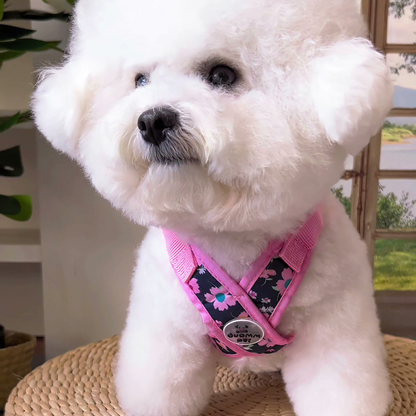 Printed X-style dog harness for small dogs, pink
