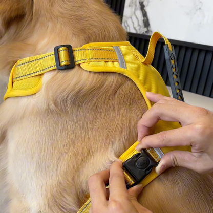 No-pull reflective dog harness with handle, photo 2