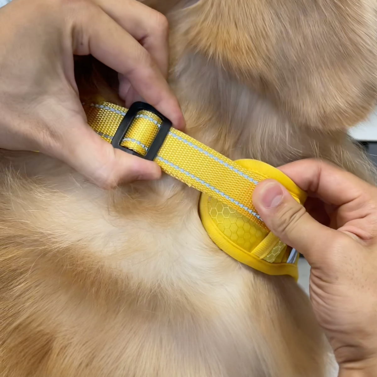 No-pull reflective dog harness with handle, photo 3