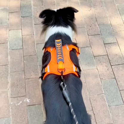 No-pull reflective dog harness with handle, photo 7