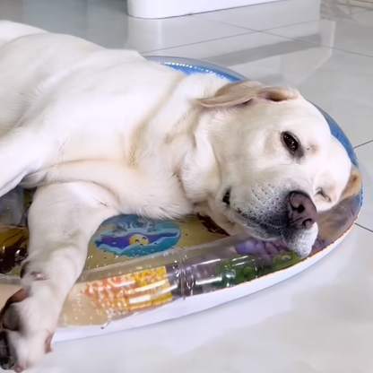 Cooling water bed for dogs, photo 4