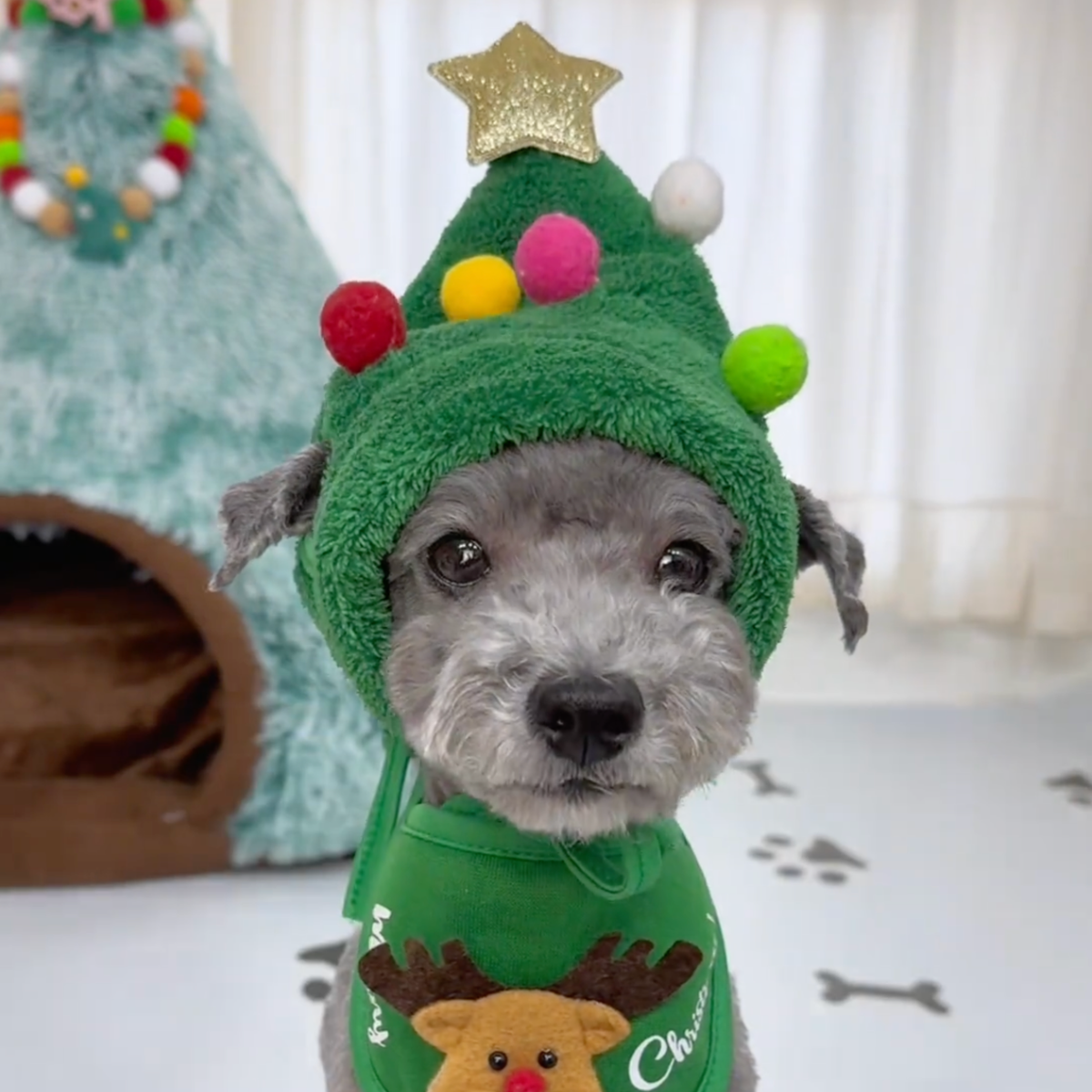 Christmas tree dog hat with reindeer bib, green