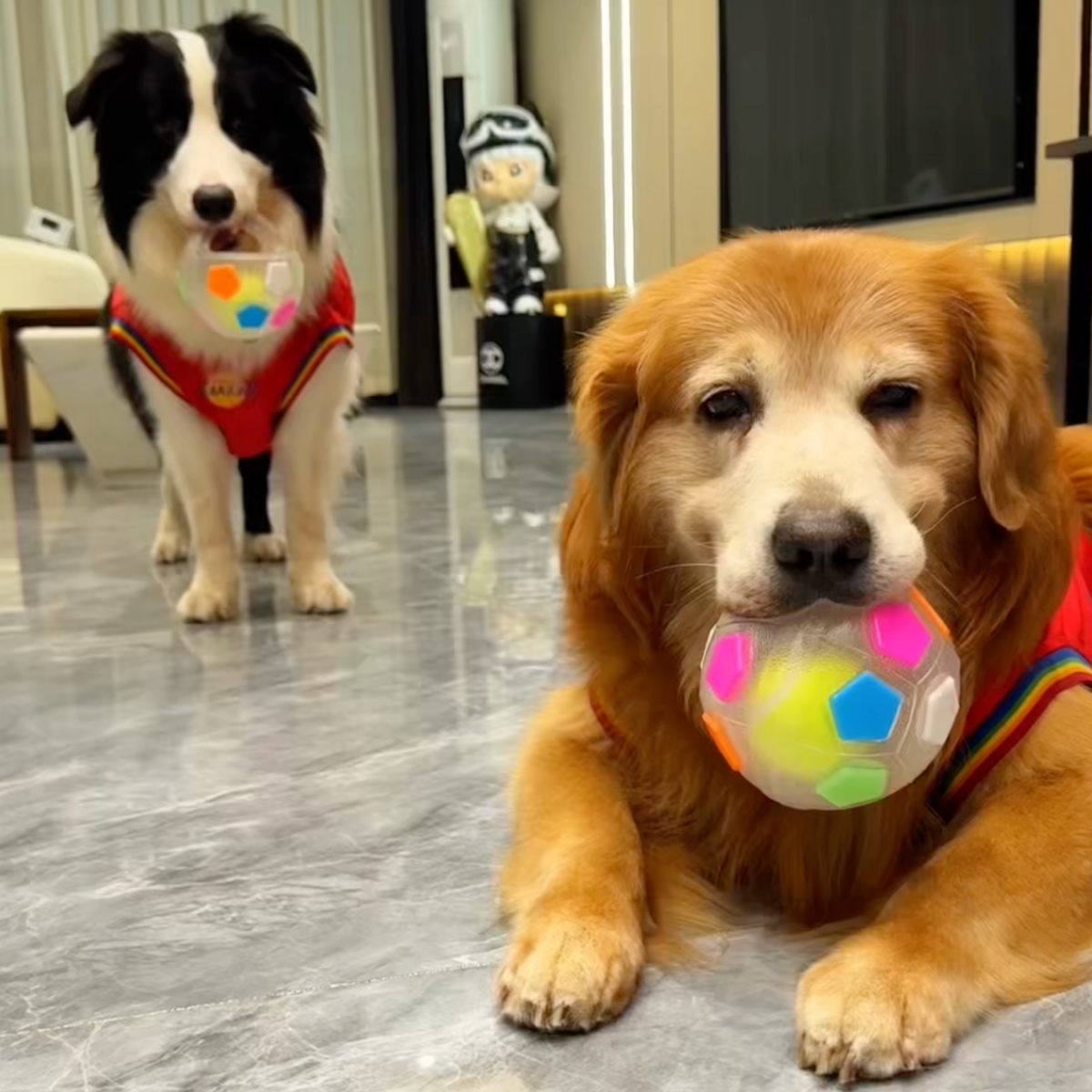 Squeaky soccer ball dog toy with tennis ball inside, photo 2