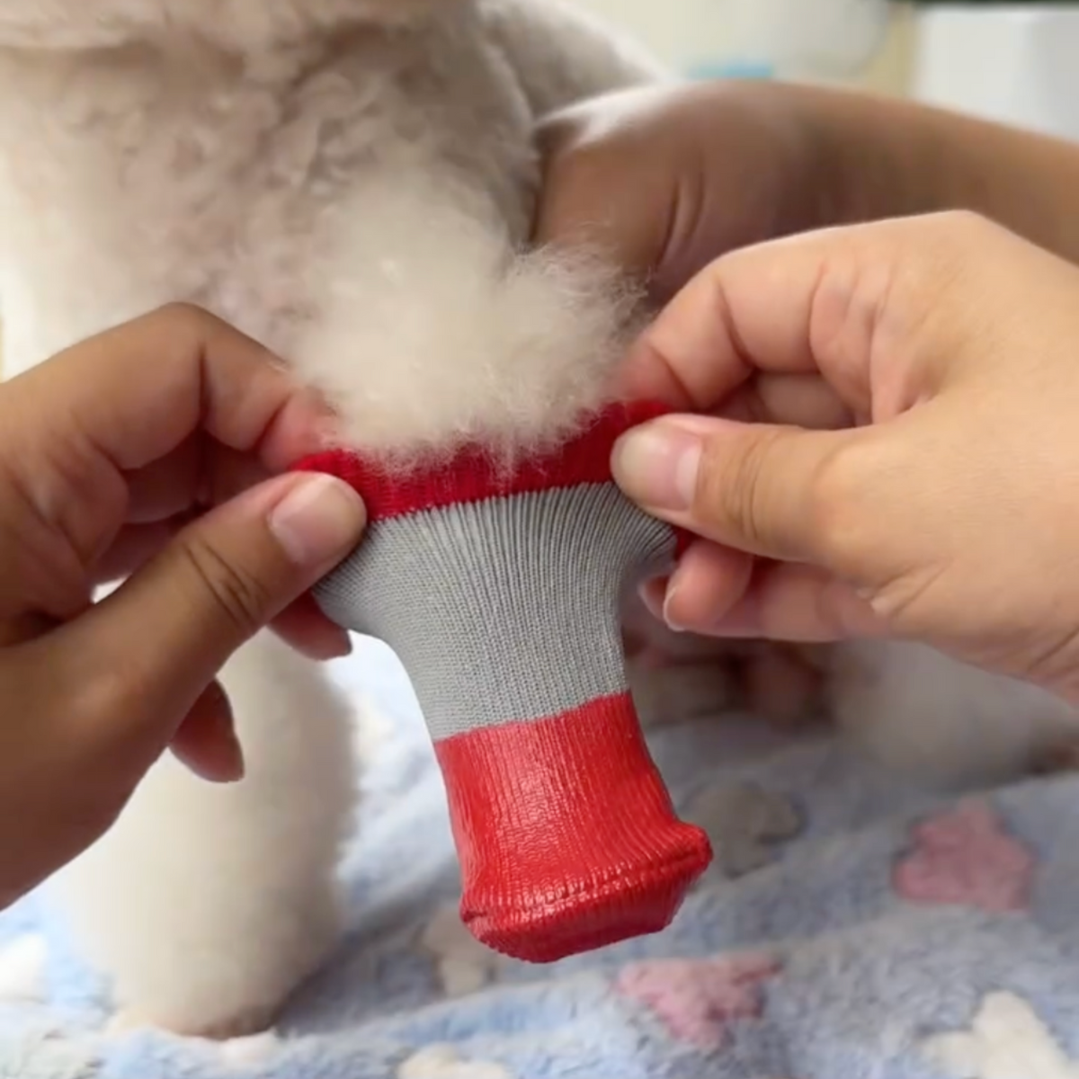 Waterproof red dog boots, photo 5