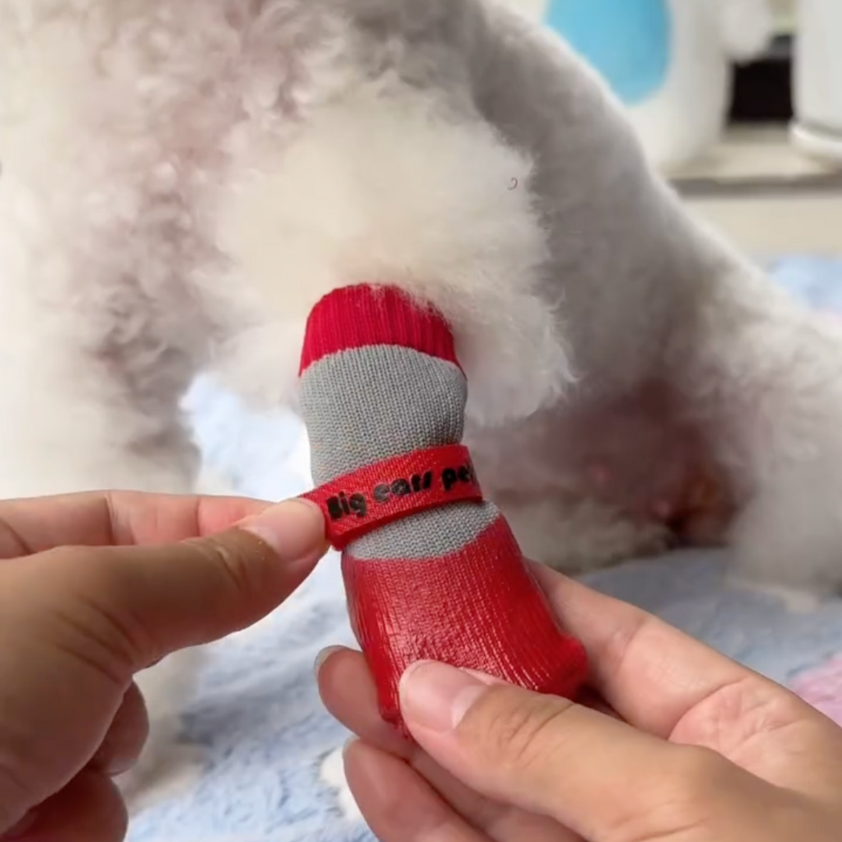Waterproof red dog boots