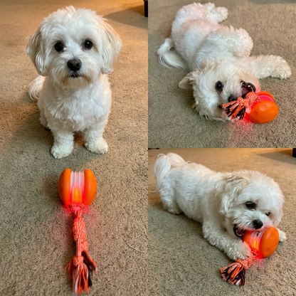 Rechargeable rolling dog toy with rope, photo 6
