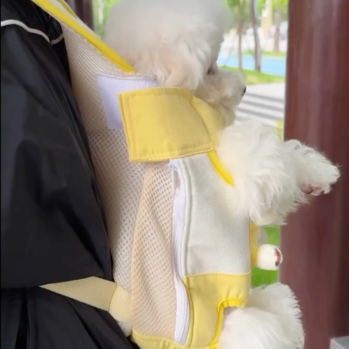 Hands-free dog carrier backpack for small dogs, photo 4