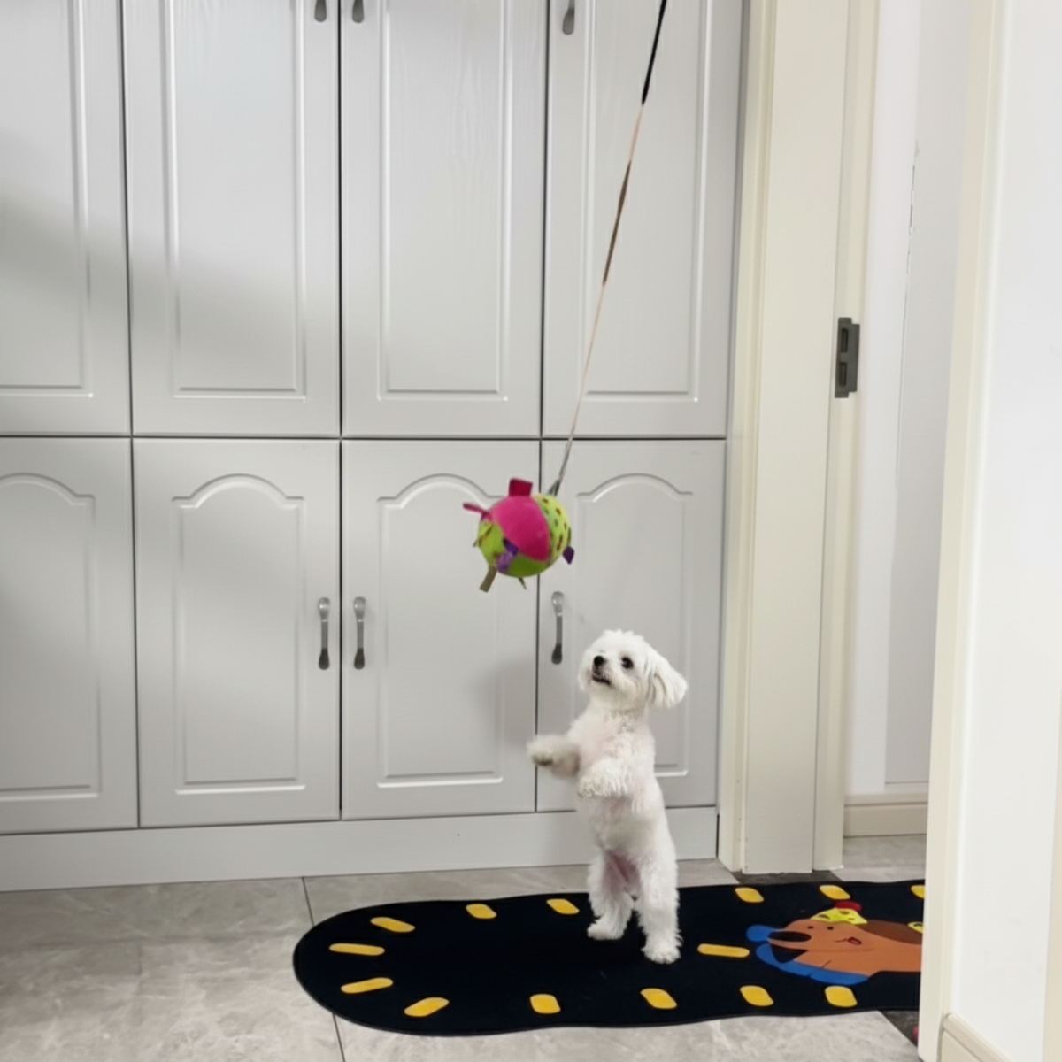 Hanging bungee ball dog toy, photo 4