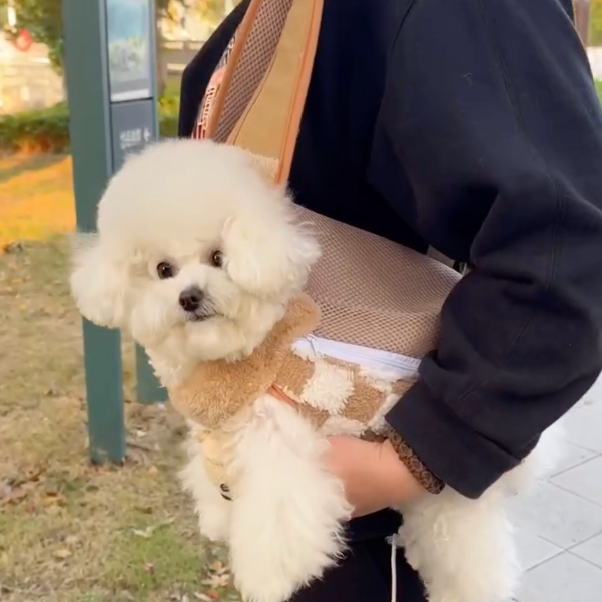 Fleece-lined checkered dog carrier backpack, photo 6