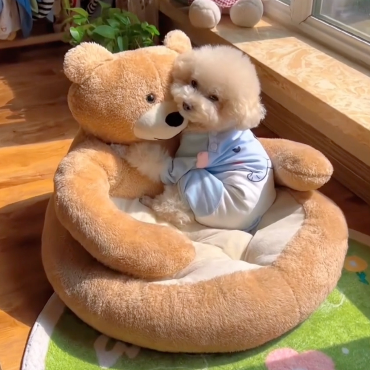 Teddy bear hug dog bed