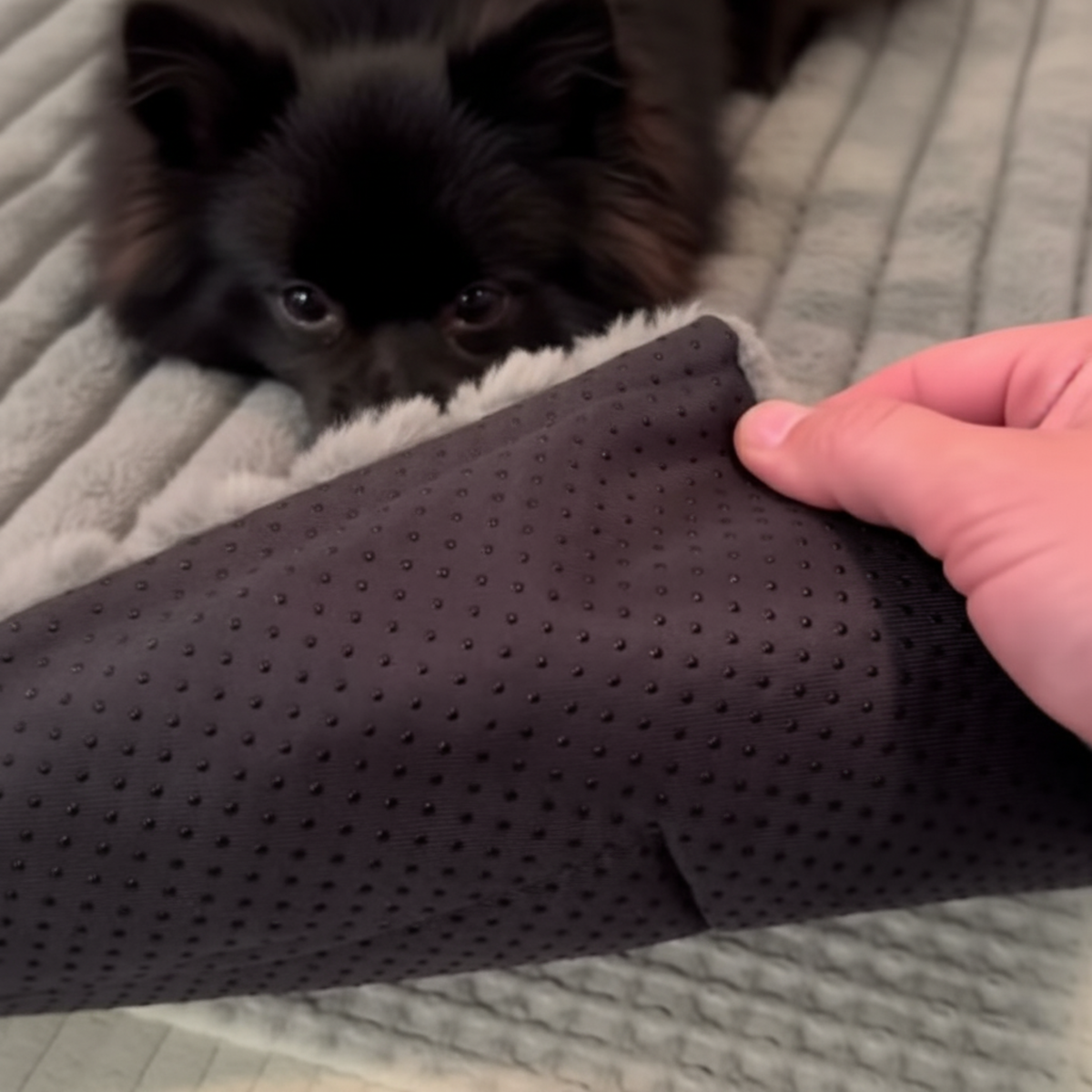 Self-warming thermal dog mat, photo 3