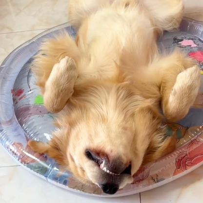 Cooling water bed for dogs, photo 7