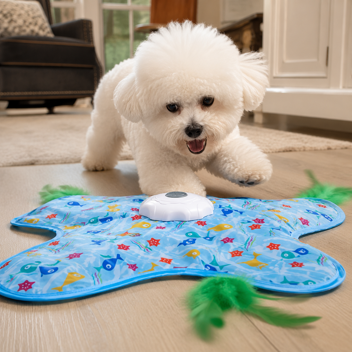 Interactive spinning star dog toy, photo 2