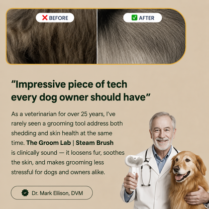 The Groom Lab | Steam Brush™