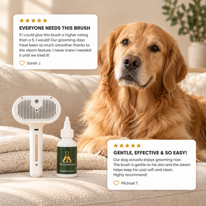 Steam Brush™ cool mist dog grooming brush